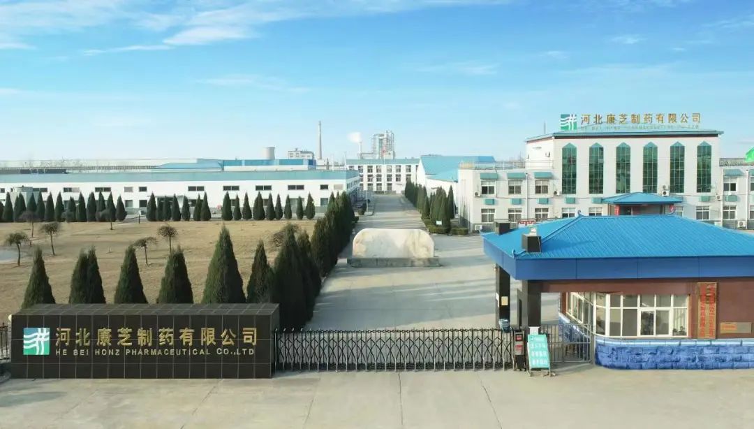 BETWAY(ķ)ٷվ-West Ham United